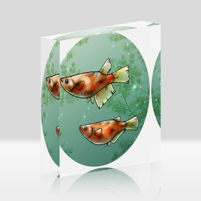 三色　ー　ホワイト／100x100mm