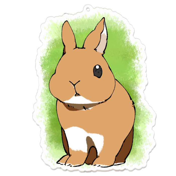 アクリルキーホルダー - 100 x 100 (mm)