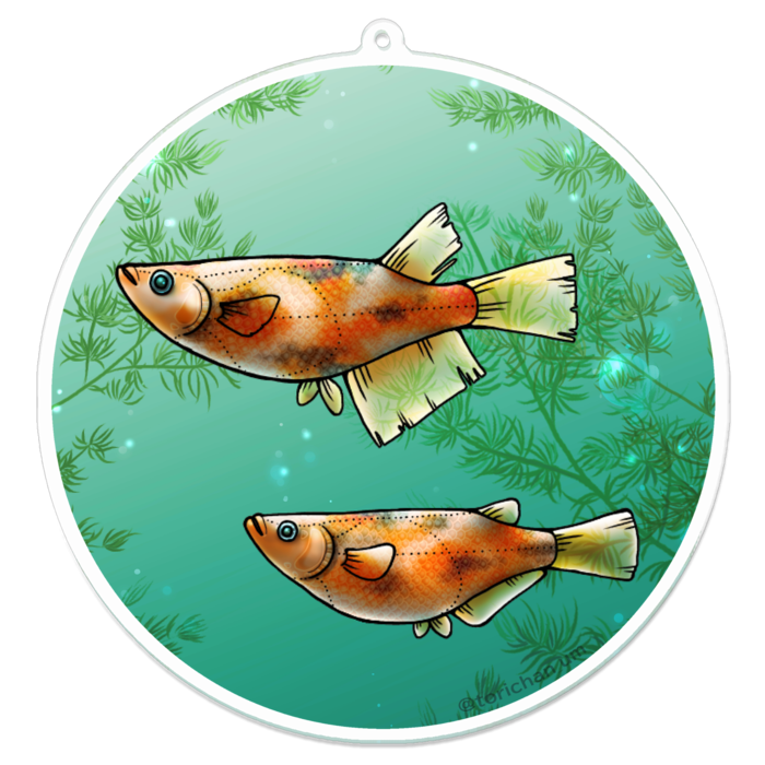 三色　ー　100 x 100㍉／コーティングなし