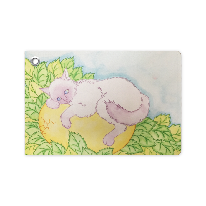 パスケース - 70 x 105 (mm)