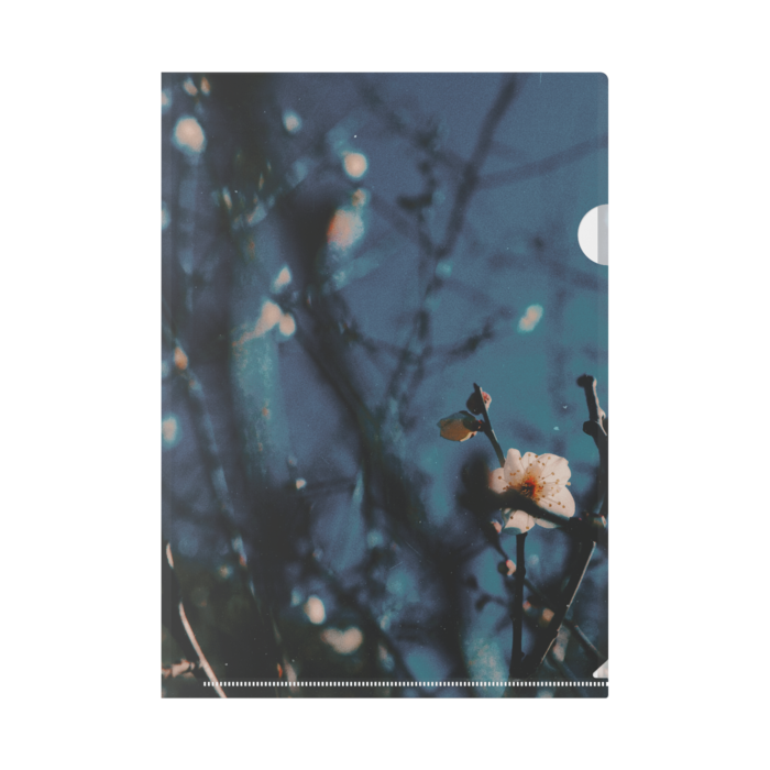 クリアファイル - A4