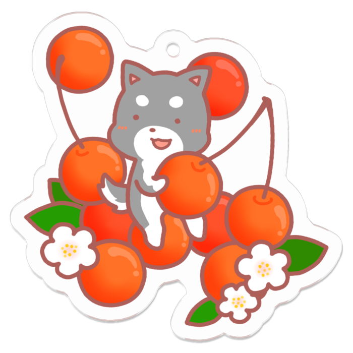 アクリルキーホルダー - 50 x 50 (mm)