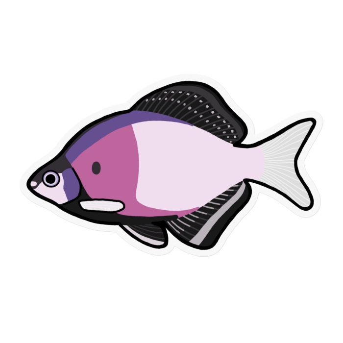 クリアステッカー - 100 x 100 (mm)