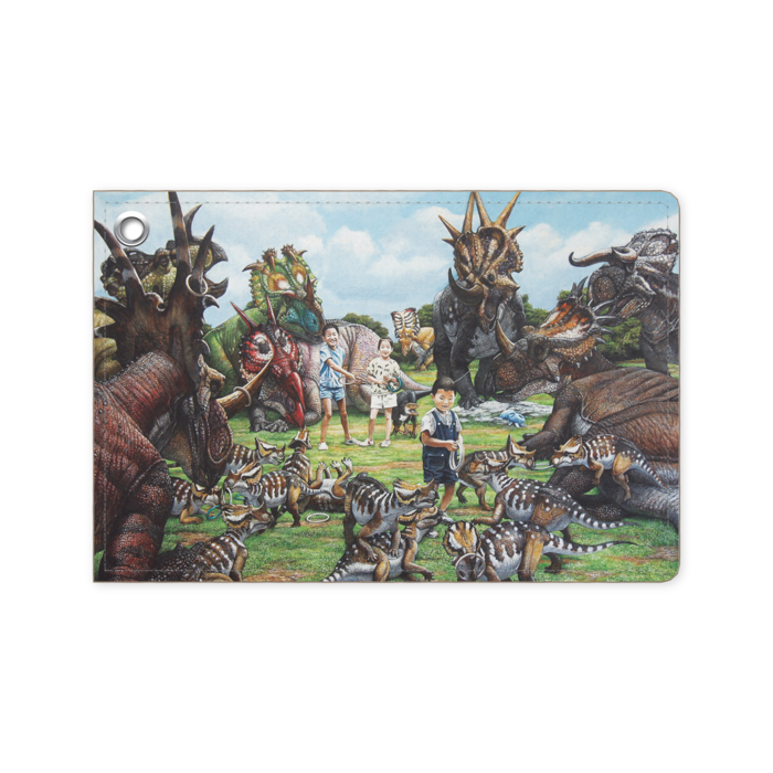 パスケース - 70 x 105 (mm)