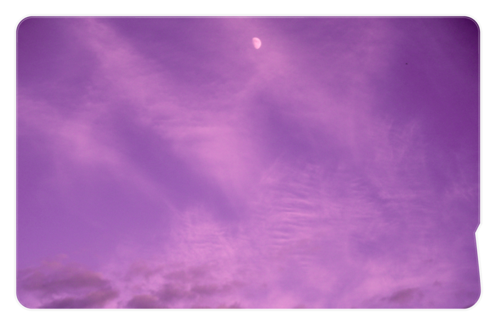 ICカードステッカー - 約85.7x53.9(mm)