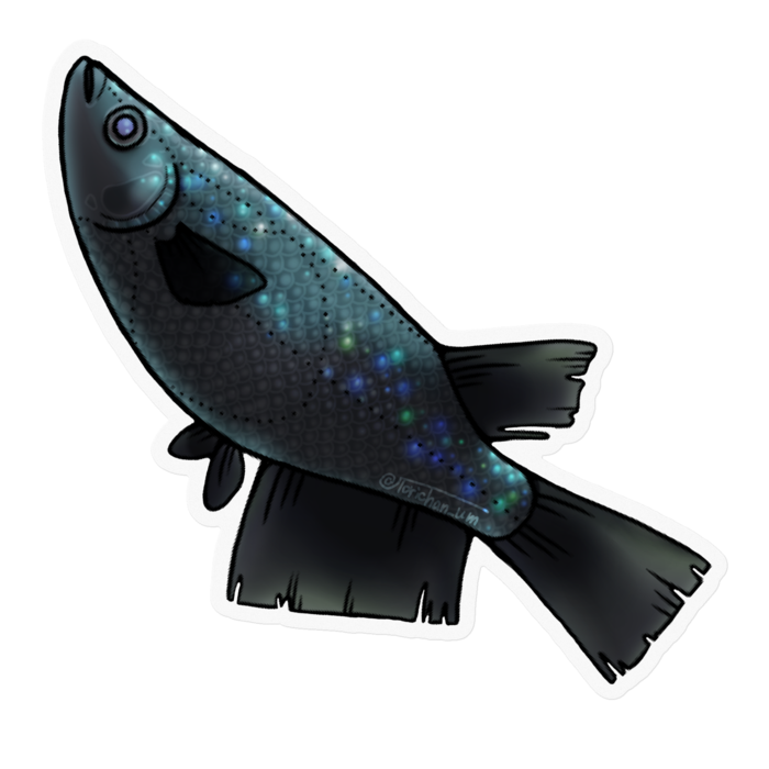 ブラックダイヤ　ー　クリア／100 x 100㍉