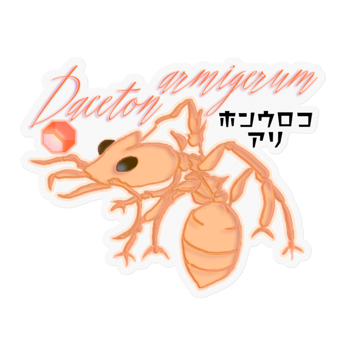 ステッカー - 100 x 100 (mm)