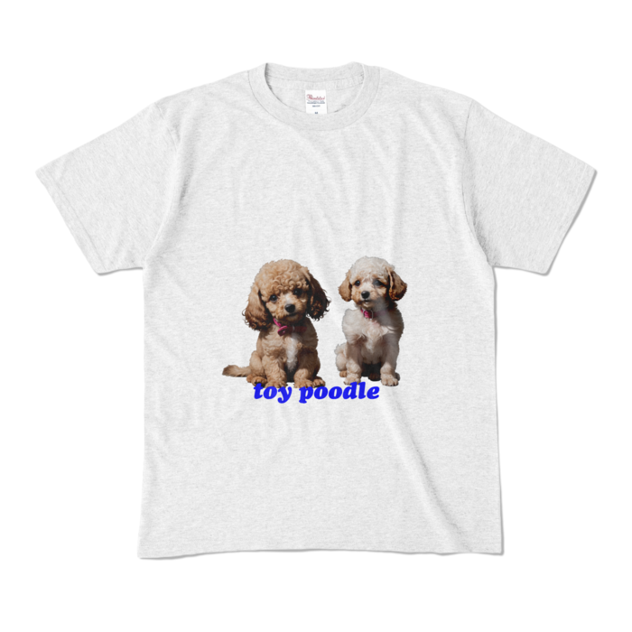 カラーTシャツ - M - アッシュ (淡色)