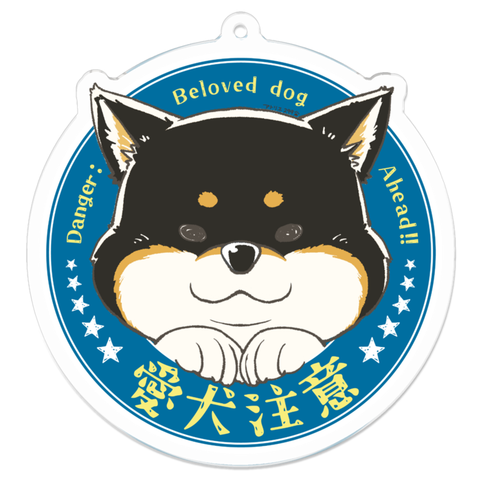 M（約70 x 70 mm）