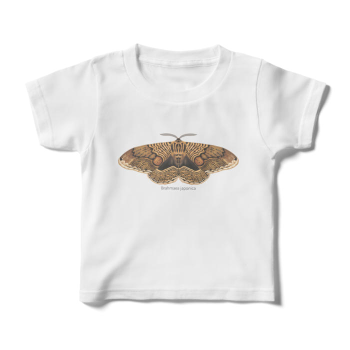 キッズTシャツ - 100cm - 正面