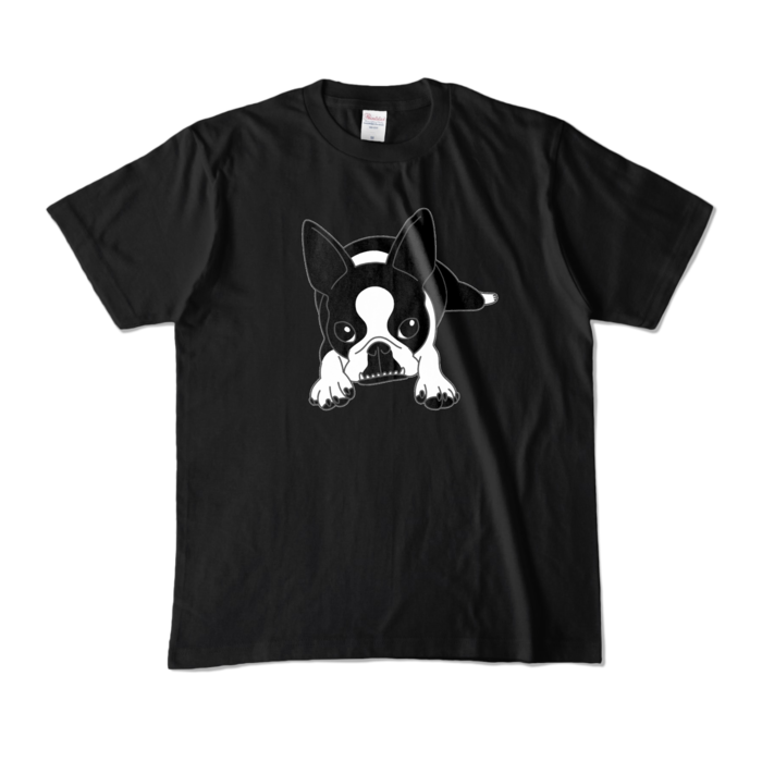 カラーTシャツ - M - ブラック (濃色)