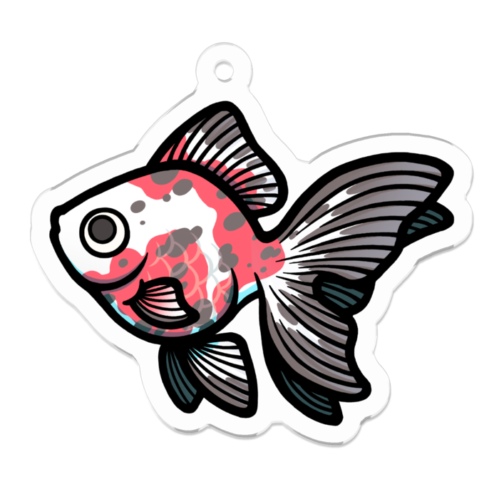 キャリコ琉金