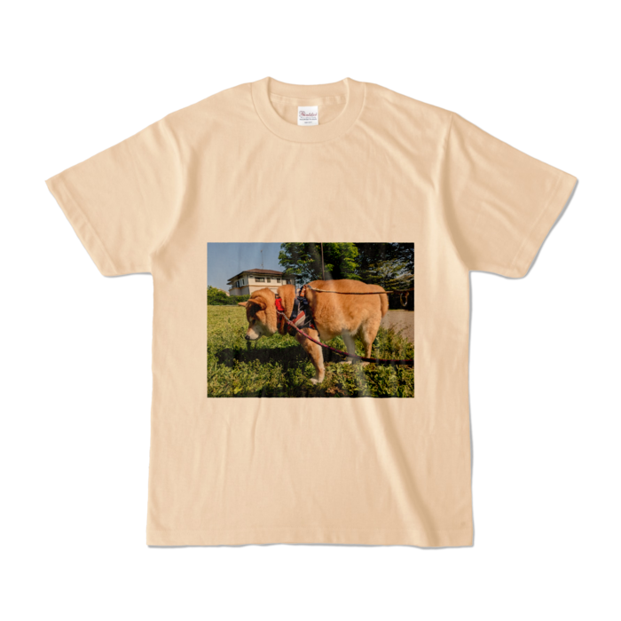 カラーTシャツ - S - ナチュラル (淡色)