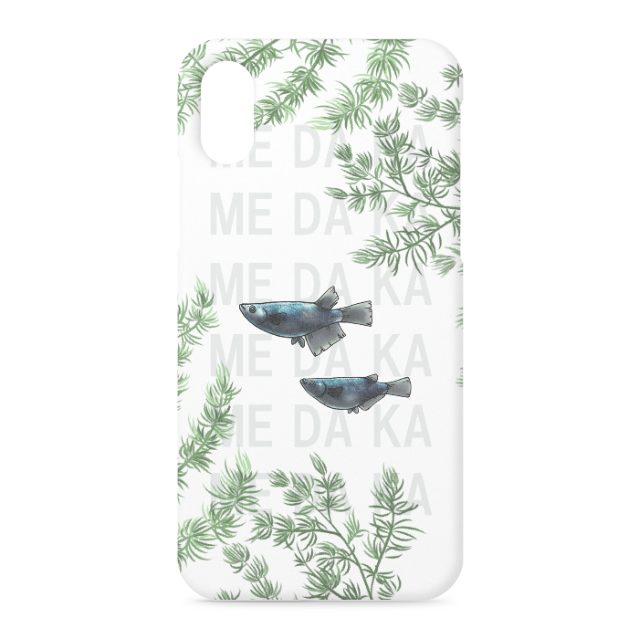 XS / X - 側面あり