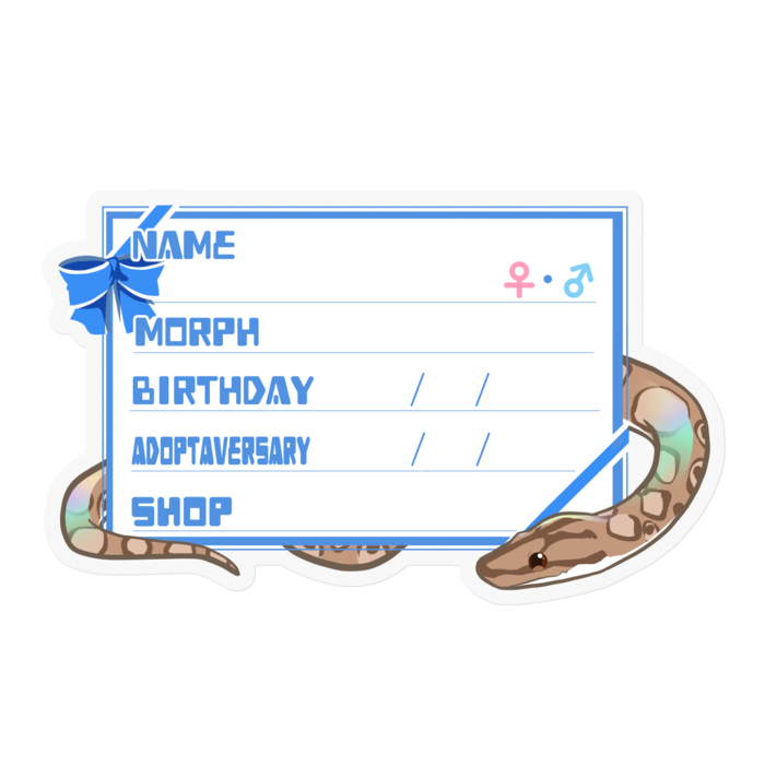 【🐍お名前ステッカー】コロニジ(ノーマル) ‐リボン／ブルー(英語)