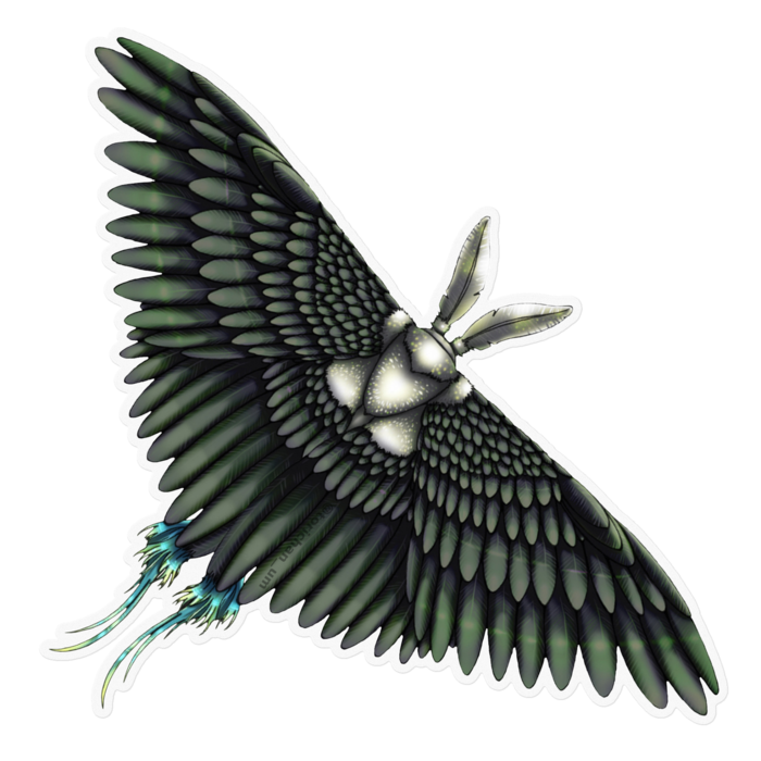 黒　ー　クリア／160 x 160㍉