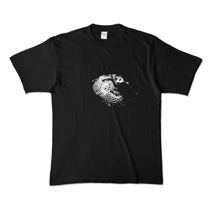 カラーTシャツ - XL - ブラック (濃色)