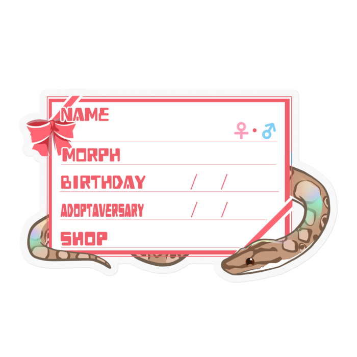 【🐍お名前ステッカー】コロニジ(ノーマル) ‐リボン／ピンク(英語)