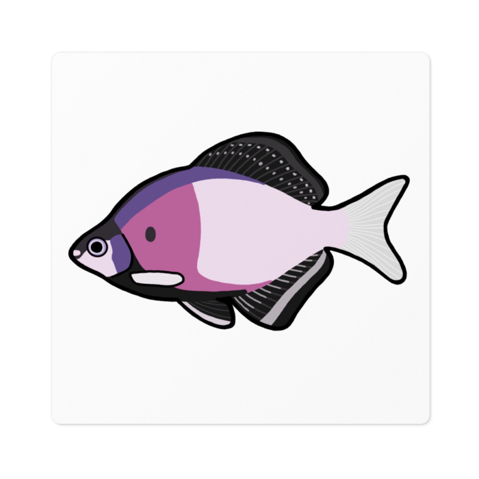 ステッカー - 100 x 100 (mm)(1)