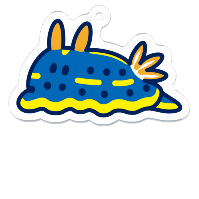 アオウミウシ