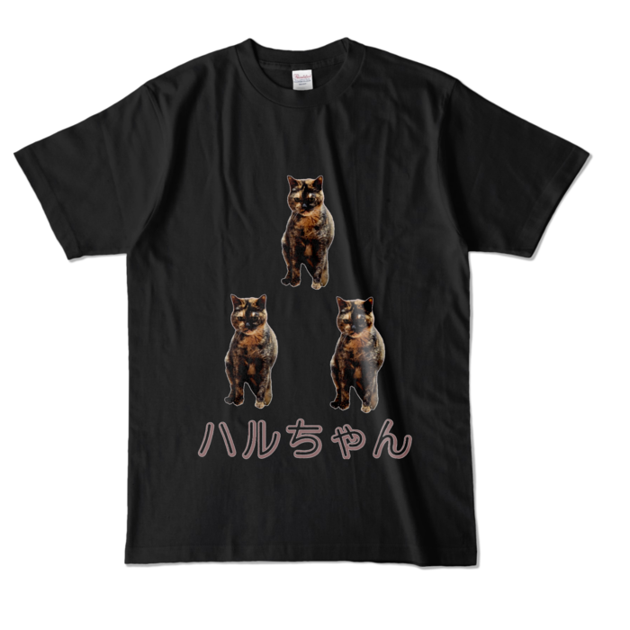 カラーTシャツ - L - ブラック (濃色)