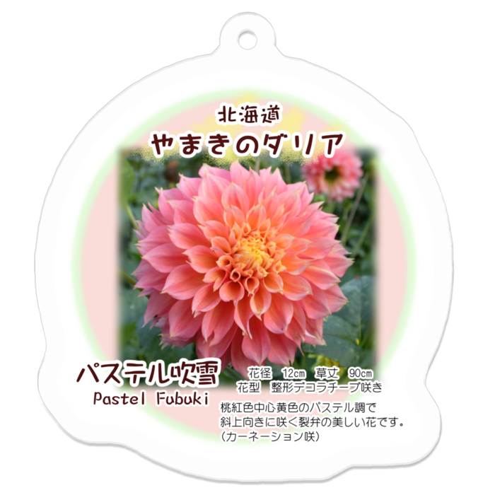 アクリルキーホルダー - 50 x 50 (mm)