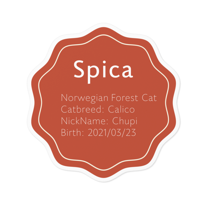 ステッカー - 100 x 100 (mm)