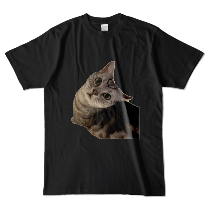 カラーTシャツ - L - ブラック (濃色)