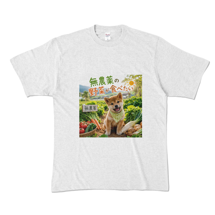 カラーTシャツ - XL - アッシュ （淡色）