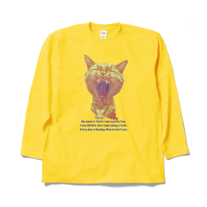 ロングスリーブTシャツ - XL - デイジー