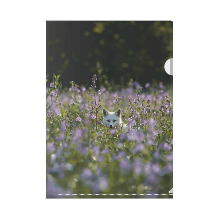 クリアファイル - A4(1)