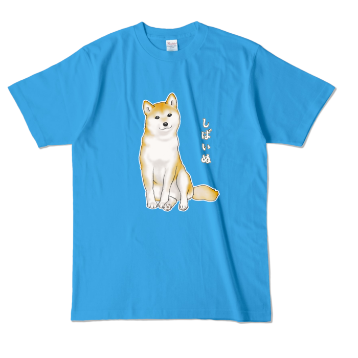 カラーTシャツ - L - ターコイズ (濃色) / Size L, Turquoise