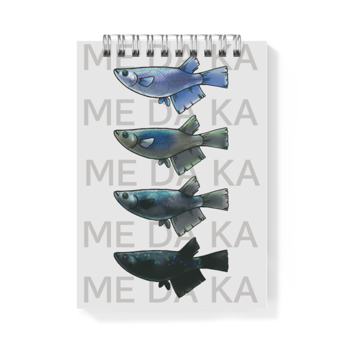 ME DA KA(青)　ー　A6