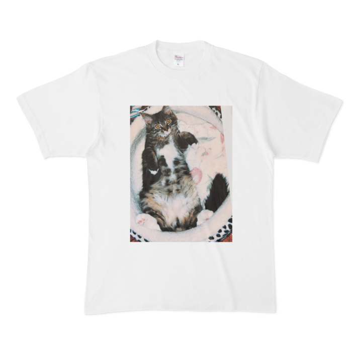 Tシャツ - XL - 白