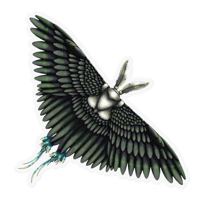 黒　ー　クリア／100 x 100㍉