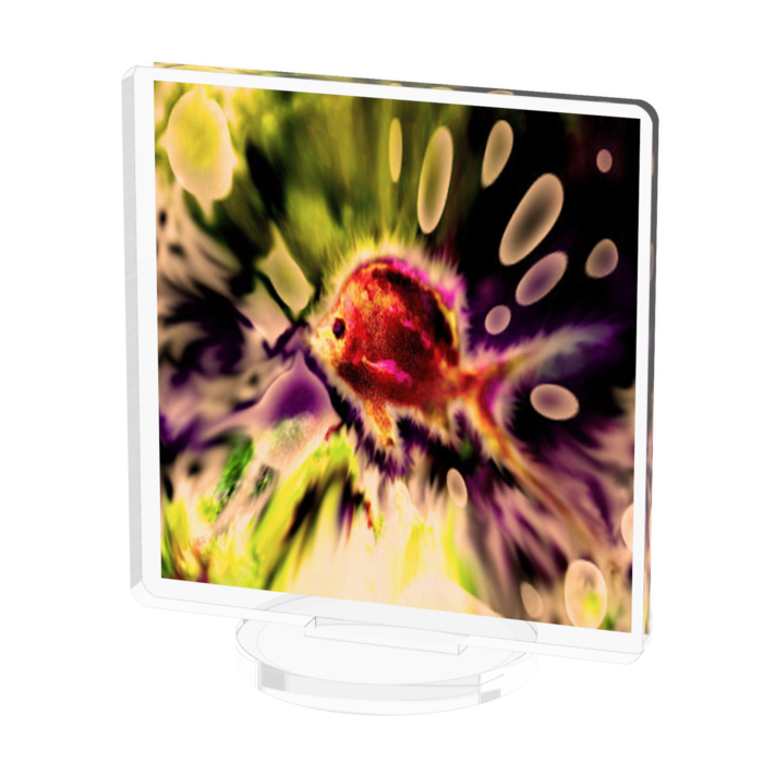 アクリルフィギュア - 50x50mm