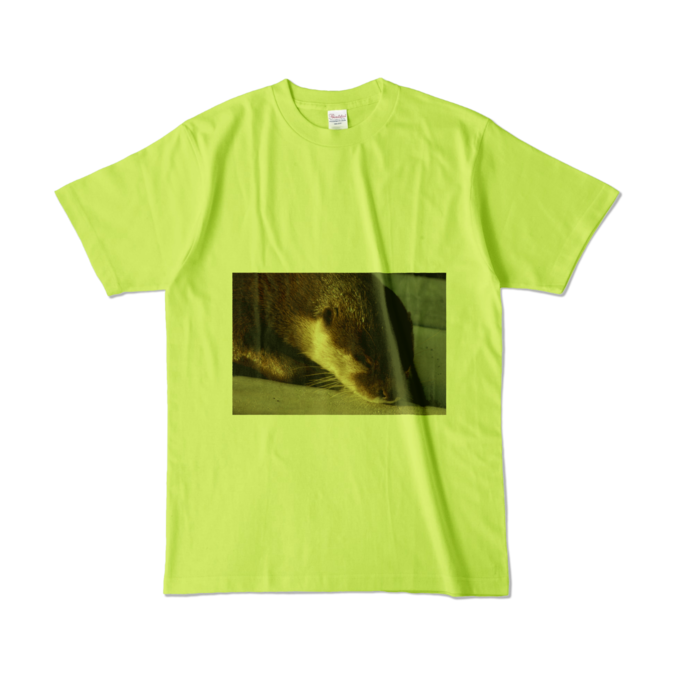 カラーTシャツ - L - ライトグリーン (淡色)