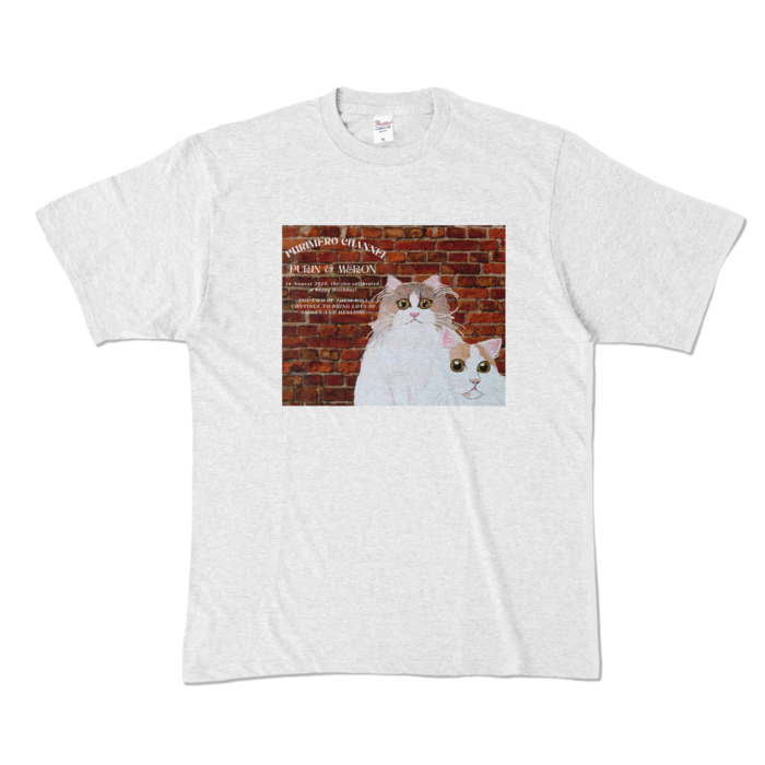 カラーTシャツ - XL - アッシュ (淡色)(1)