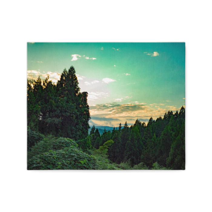 キャンバス - F3