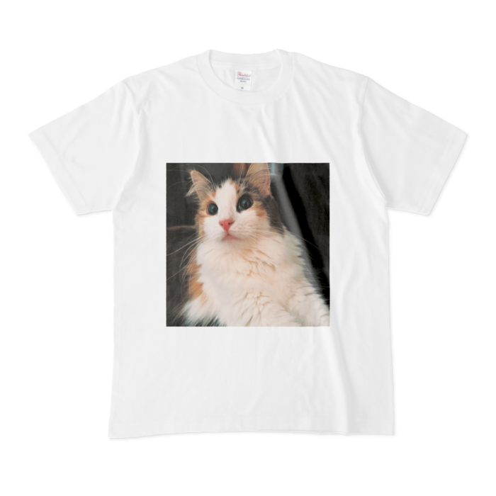 Tシャツ - M - 白