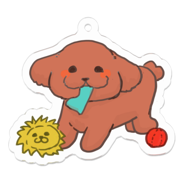くつしたどろうぼうを探せ