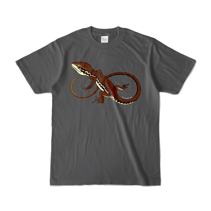 カラーTシャツ - S - チャコール (濃色)