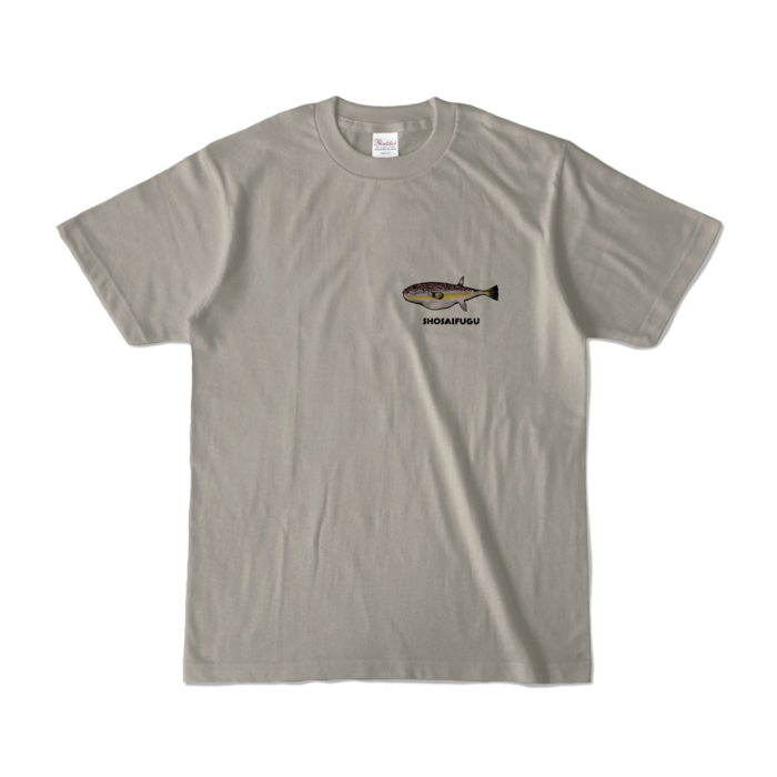 カラーTシャツ - S - シルバーグレー (淡色)