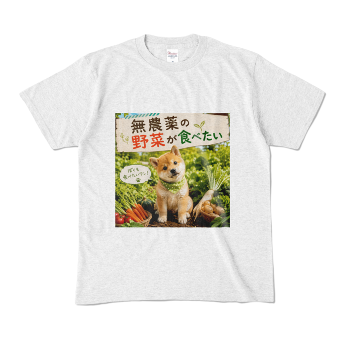 カラーTシャツ - M - アッシュ （淡色）