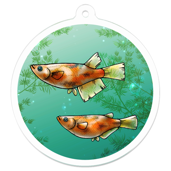 三色　ー　50 x 50㍉／コーティングなし