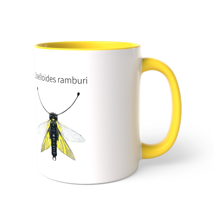 ツートンカラーマグカップ - 直径 8.2cm / 高さ 9.5cm