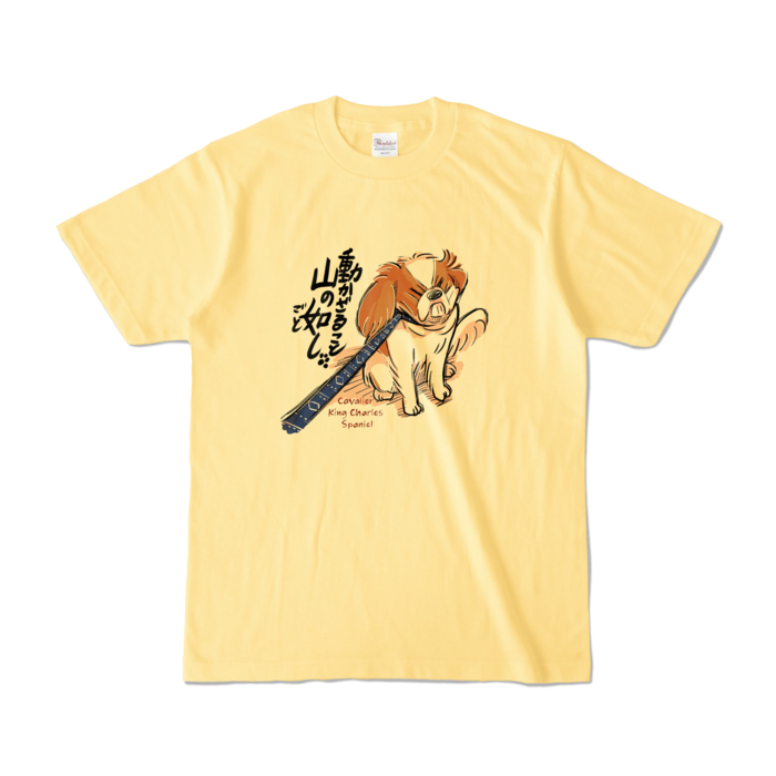 カラーTシャツ - S - ライトイエロー (淡色)