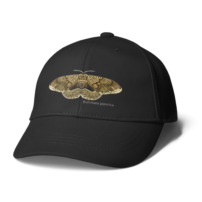 キャップ - ブラック