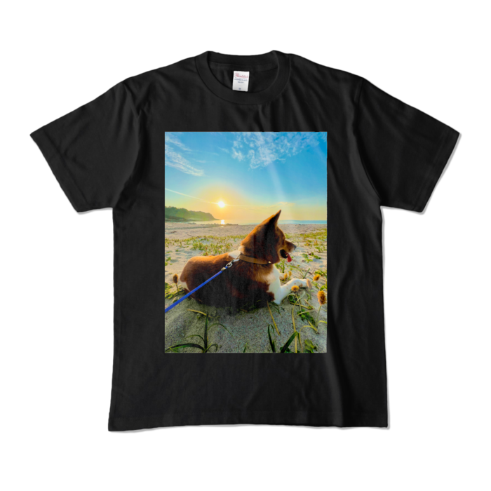 カラーTシャツ - M - ブラック (濃色)