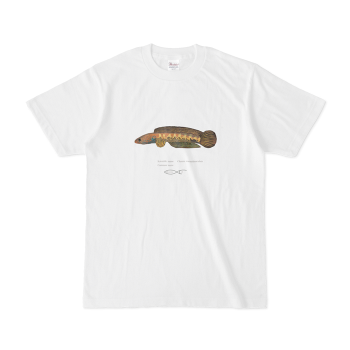 Tシャツ - S - 白